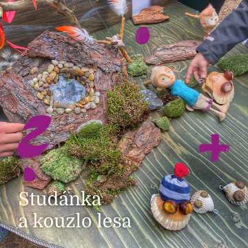 Studánka a kouzlo lesa